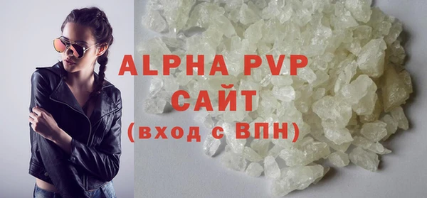 PSILOCYBIN Инсар