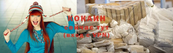 PSILOCYBIN Инсар