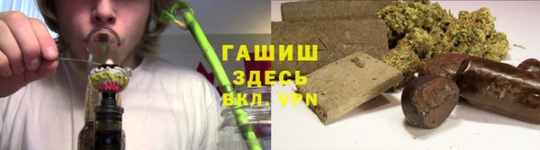 PSILOCYBIN Инсар