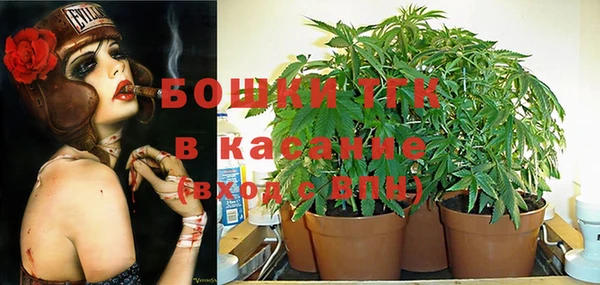 гидра Иннополис