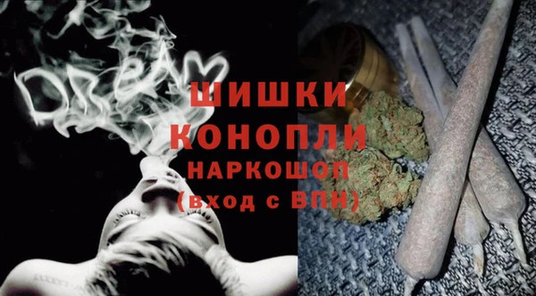 PSILOCYBIN Инсар