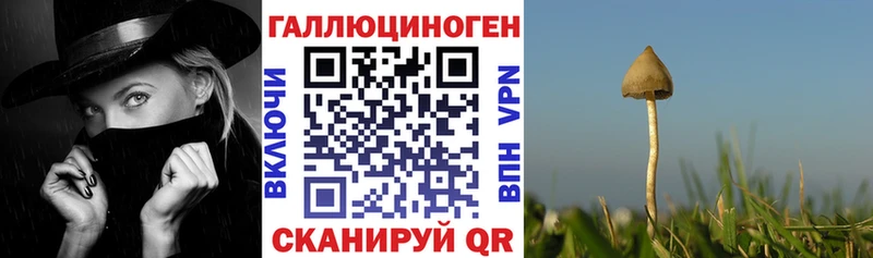 Купить закладки  Давлеканово  Галлюциногенные грибы Psilocybine cubensis 